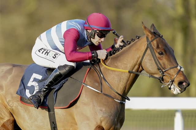 Thunder Rock on his way to victory at Huntingdon Racecourse last year. Picture: Alan Crowhurst/Getty Images