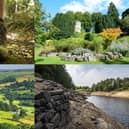 We take a look at 12 beautiful walks in and around Harrogate that you can enjoy with your family and friends this weekend