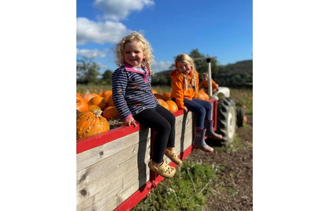 Birchfield Farm has indoor seating and serves hot chocolate and coffee to warm up visitors on a cold Autumn day.