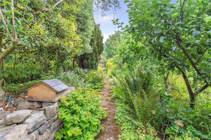 A pathway through the gardens.