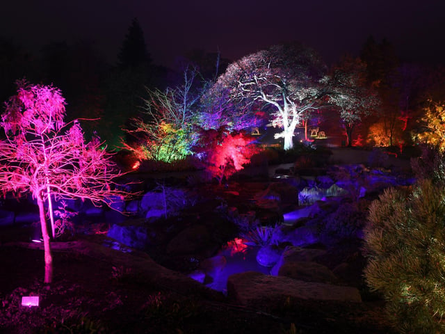 Winter illuminations at RHS Harlow Carr.