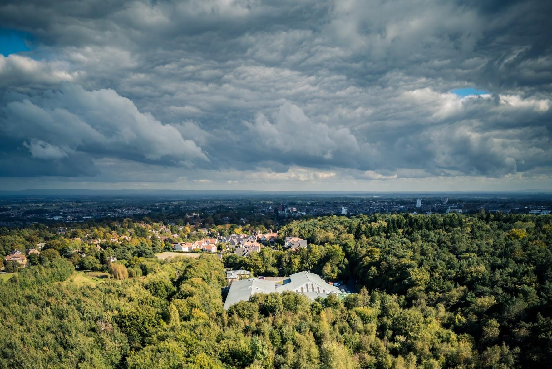 Pinewoods Conservation Group to launch appeal to defend Rotary Wood from water brand's expansion