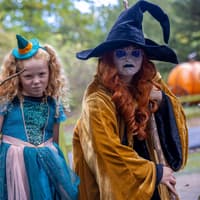 Wetherby theme park ranked number one this half term