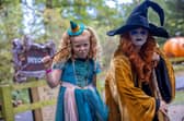 Halloween at Stockeld Park.