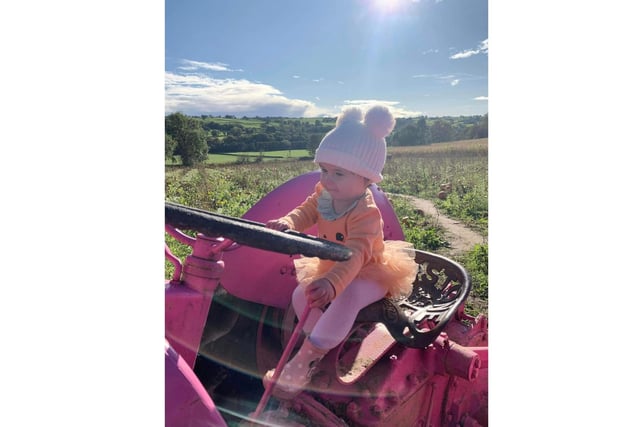 Pictured: A little girls learning to drive on the farm in the glorious Autumn sunshine.