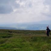 Wild Ingleborough  partnership continued into its third year, increasing the existing 1200 hectares of new land large-scale landscape restoration by 420 hectares