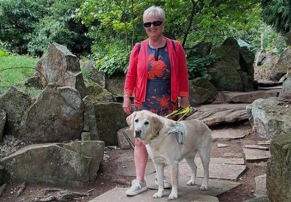 Harrogate Guide Dog Owner Backs Calls for Government to Give Counci...
