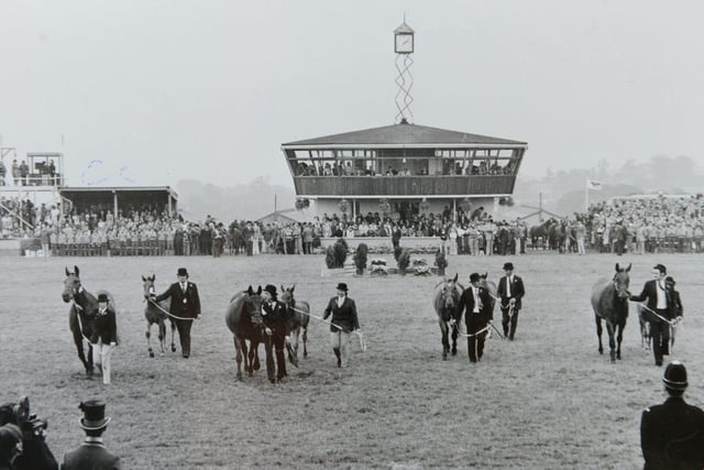 The equine classes in the main ring at the Great Yorkshire Show in 1977