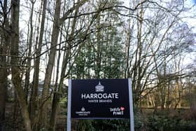 Threat to trees - Harrogate Spring Water hopes to expand into Rotary Wood near the Pinewoods. (Picture Gerard Binks)