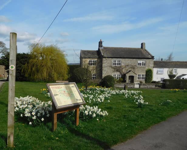 Darley in bloom