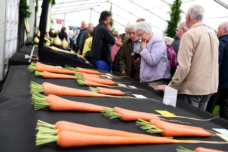Visitors checking out the giant carrots on display in the Incredible Edible Pavilion