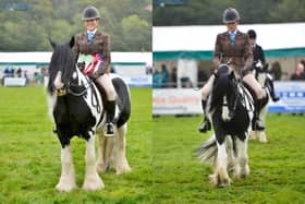 Rachael Motley takes overall champion title at Pateley Show on horse Billy.