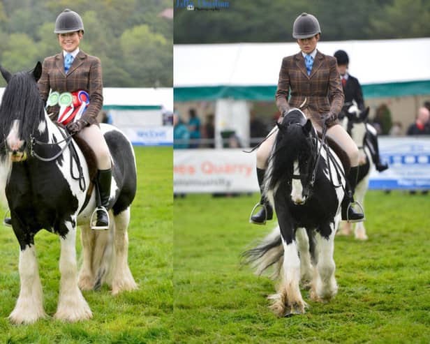 Rachael Motley takes overall champion title at Pateley Show on horse Billy.