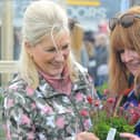 As many as 50,000 people are expected to flock to Harrogate Spring Flower Show 2023.