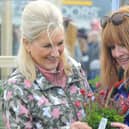 As many as 50,000 people are expected to flock to Harrogate Spring Flower Show 2023.