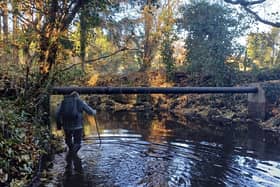Prof Jonathan Grey of the Wild Trout Trust surveying habitat on Oak Beck -  Yorkshire Dales Rivers Trust (YDRT) has issued an appeal for volunteers to support its surveying of the town’s Oak, Bilton and Crimple becks. (Picture contributed)