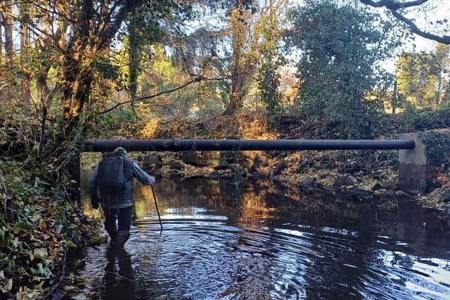 Prof Jonathan Grey of the Wild Trout Trust surveying habitat on Oak Beck - Yorkshire Dales Rivers Trust (YDRT) has issued an appeal for volunteers to support its surveying of the town’s Oak, Bilton and Crimple becks. (Picture contributed)