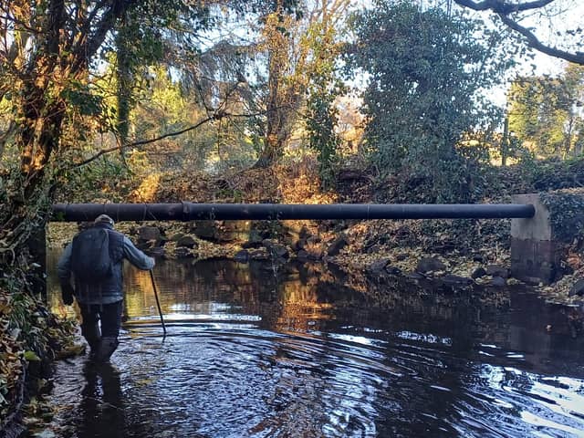Prof Jonathan Grey of the Wild Trout Trust surveying habitat on Oak Beck -  Yorkshire Dales Rivers Trust (YDRT) has issued an appeal for volunteers to support its surveying of the town’s Oak, Bilton and Crimple becks. (Picture contributed)