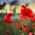 Remembrance Day will see events, parades and services for Remembrance Day held across the Harrogate district to remember the fallen of two world wars. (Picture contributed)