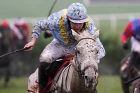 Diesel D'Allier on the charge at Cheltenham Racecourse. Picture: Alan Crowhurst/Getty Images