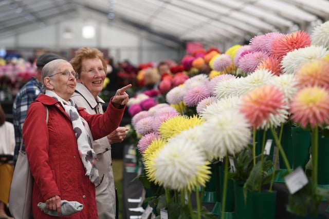 Visitors checking out the huge displays of dahlia's that were on offer at the show