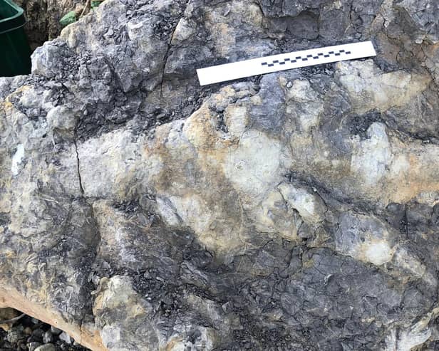 The 80cm footprint is the largest ever found in Yorkshire