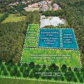 Harrogate Spring Water has announced plans to create a new area of publicly accessible community woodland as part of revised proposals to expand its bottling plant. (PIcture contributed)