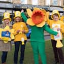 Marie Curie is urging residents across the Harrogate district to get involved in the Great Daffodil Appeal