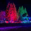 Ripon Spa Gardens fully illuminated during the Winter Wonderland last year.