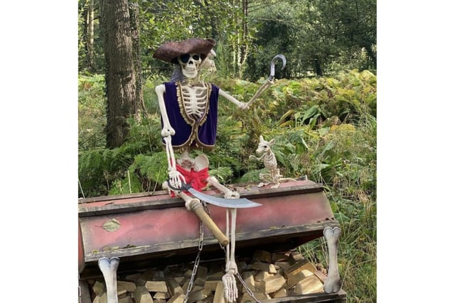 Thorp Perrow Arboretum is located in Bedale. Children can enjoy a Halloween trail which opens from Saturday, October 7, and runs daily until Saturday, November 5.