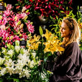 The popular Harrogate Spring Flower Show returns to the Great Yorkshire Showground this weekend