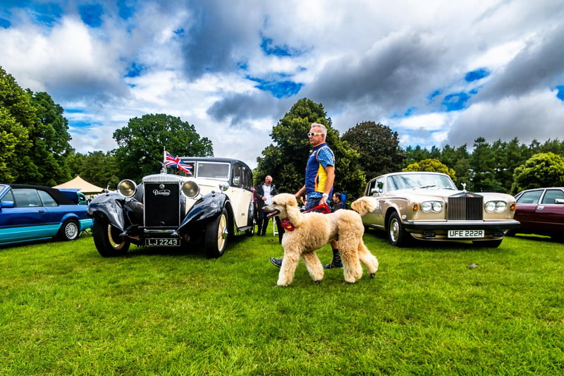Rich Brigg-Price, of Brighton, walks his poodle called Dylan past a 1928 Daimler ex-Royal vehicle and a 1977 Silver Shadow Rolls Royce