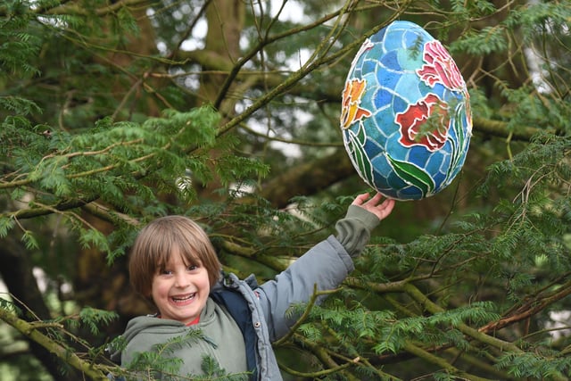 Five-year-old Stanley Smith, from Knaresborough, with one of the eggs in the trees