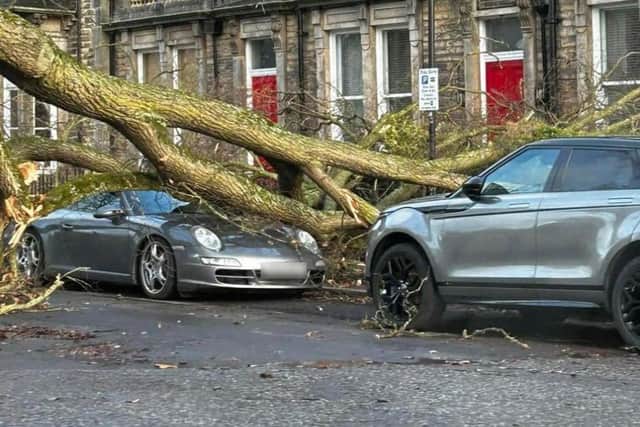 One Harrogate resident woke up this morning to find a tree had fallen onto their car (Credit: Charlie Lowe)