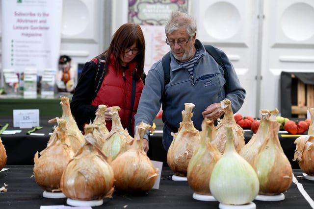 Visitors checking out the giant onions on display at the show