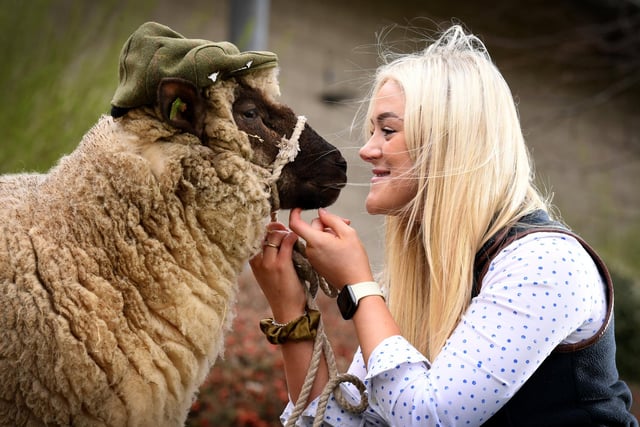 Katie Orme pictured with Alice the Dorset Down Ewe at the event.