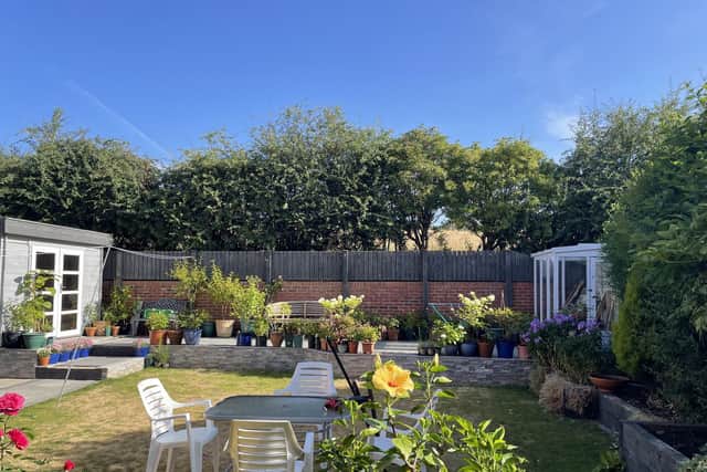Loss of Harrogate hedgerow - The Malham Drive resident said he was worried about his garden being overlooked by the housing development and the potential loss of privacy. (Picture contributed)