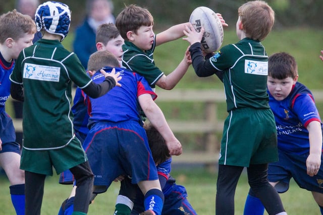 Hawick's Quinn Telfer securing the ball for his team versus Jed Jaguars