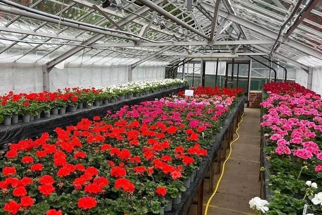 Harrogate Borough Council is set to spend £55,000 to help develop a new horticultural nursery to the north-west of the town
