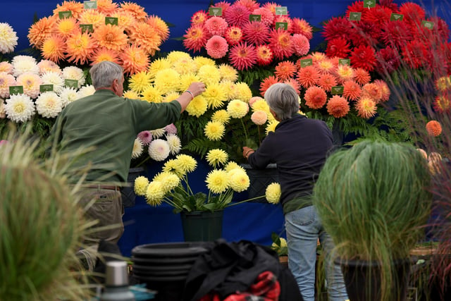 Preparations are underway for this year's Harrogate Autumn Flower Show which returns to Newby Hall from 16-18 September