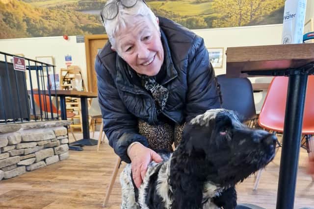 Dog survives 131ft fall from cliff near Sutton Bank in Yorkshire