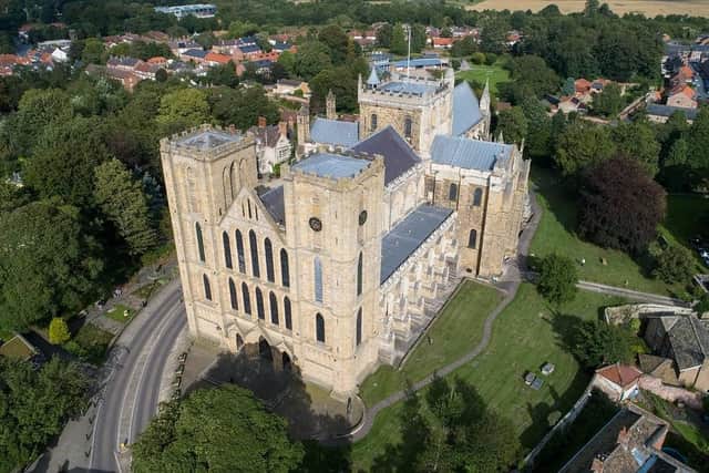 A campaigner against the plans to expand Ripon Cathedral is 'delighted’ that they have been postponed