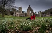 Spring is just around the corner at Fountains Abbey near Ripon in North Yorkshire and at the start of February visitors to the National Trust site are able to view the thousands of snowdrops growing in drifts around the abbey and woodlands