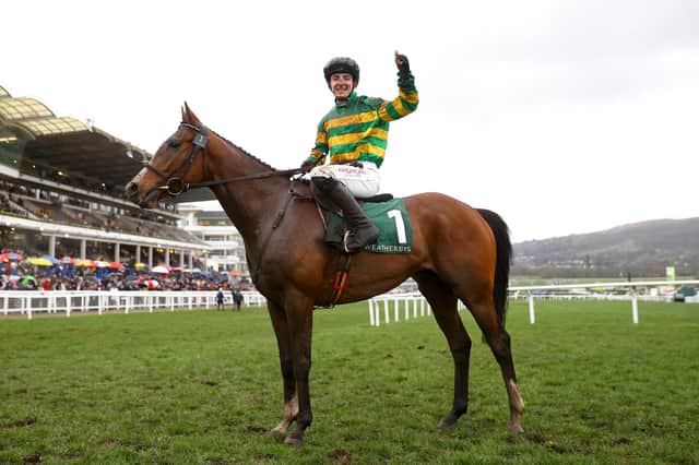 John Gleeson celebrates winning the Champion Bumper aboard A Dream to Share on day two of the 2023 Cheltenham Festival. Picture: Michael Steele/Getty Images