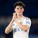Former Harrogate pupil and Leeds United rising star Archie Gray has been selected for the England Under-19 squad