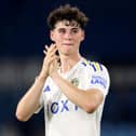 Former Harrogate pupil and Leeds United rising star Archie Gray has been selected for the England Under-19 squad