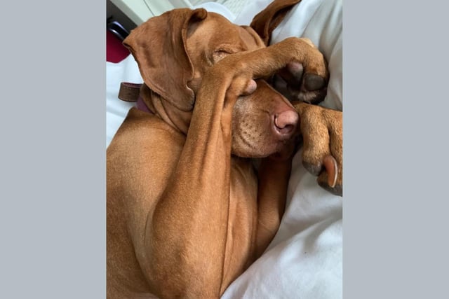 Bobbi's gone all camera shy!