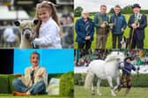 The Great Yorkshire Show has been hailed a huge success after 140,000 visitors flocked to Harrogate