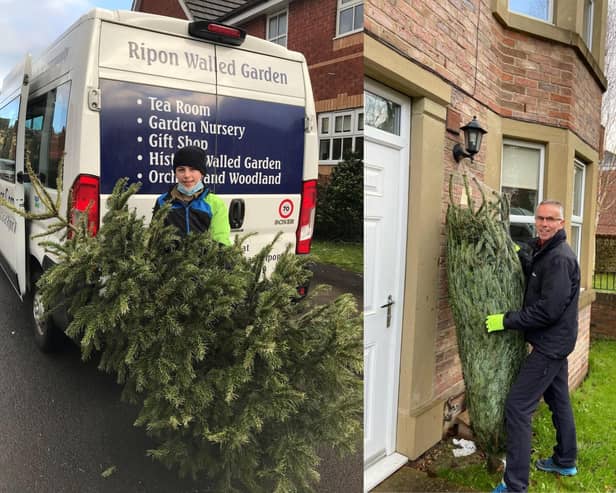Ripon Walled Gardens working with Ripon Community Link to recycle and collect Christmas trees ethically.