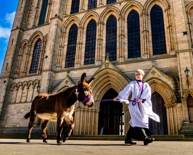 Chorister Xander Galloway-Gee, 12,  walks with the Lily the donkey, aged 19, in front of Ripon Cathedral on the Palm Sunday procession. Picture by James Hardisty